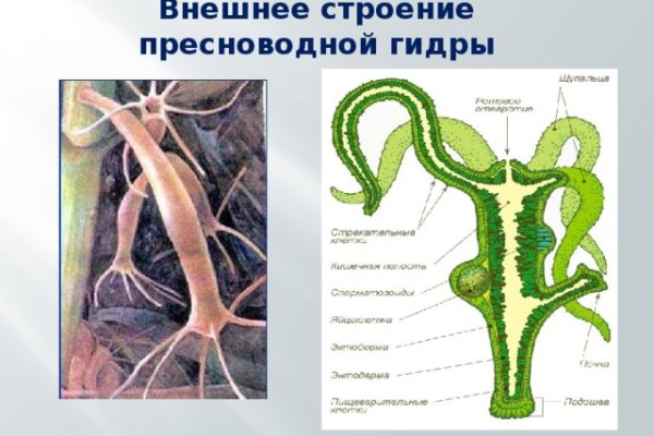 Рабочее зеркало на кракен