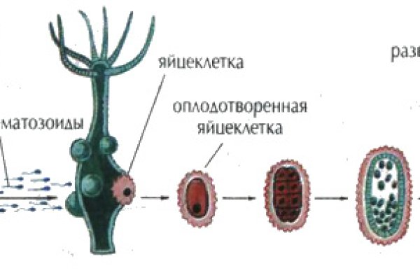 Kra14.cc
