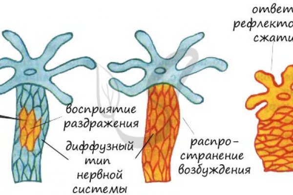 Кракен шоп ссылки