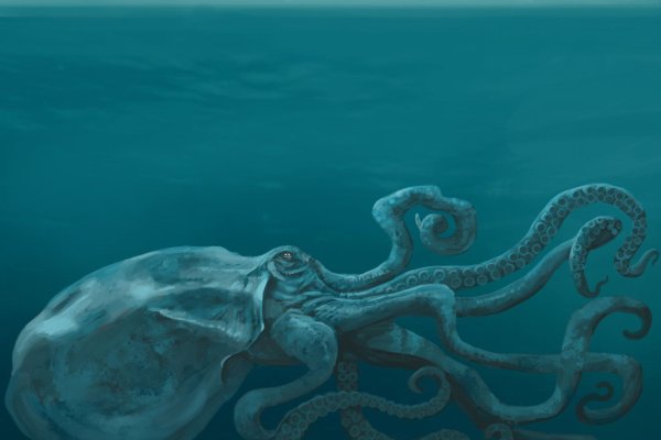 Как зарегистрироваться в kraken