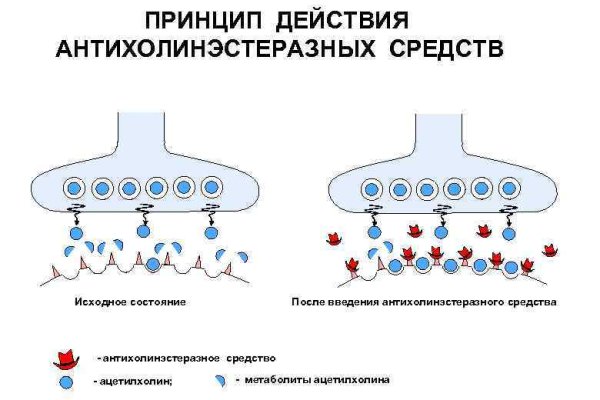 Как зарегистрироваться в kraken