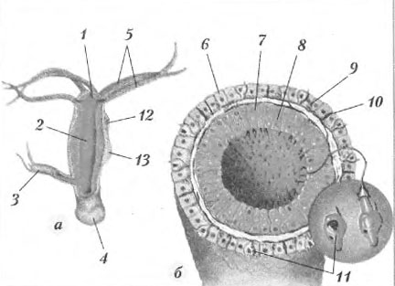 Kra15.cc
