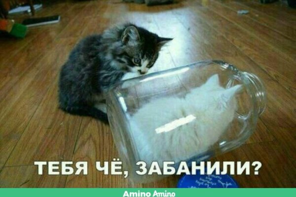 Кракен через обычный браузер