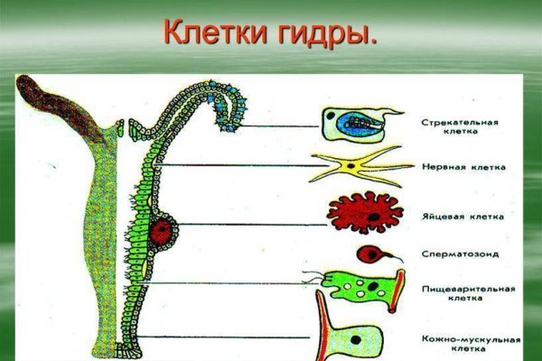 Через какой браузер заходить на кракен