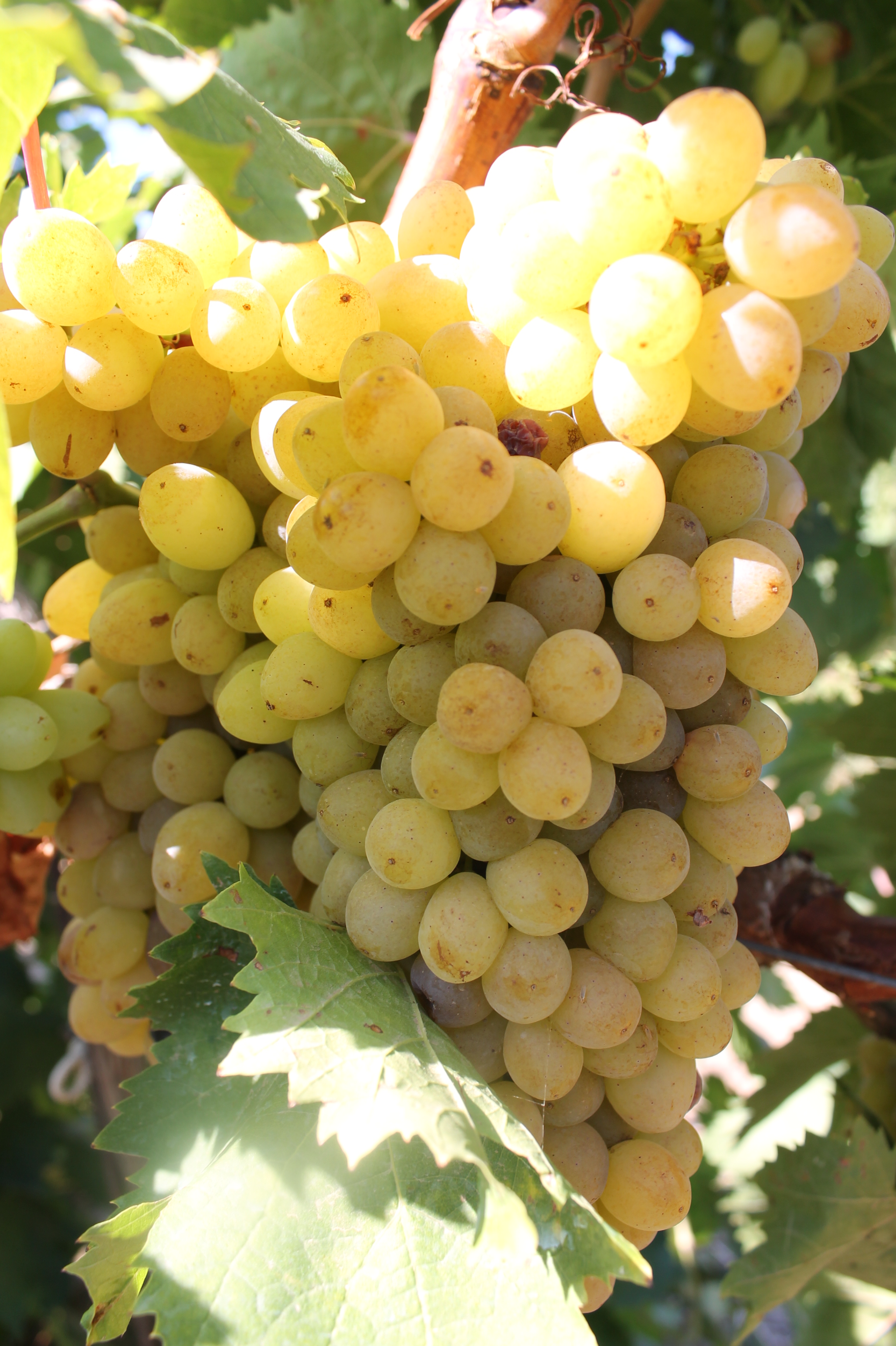 Кракен kr2web in